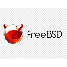 FreeBSD DNS
